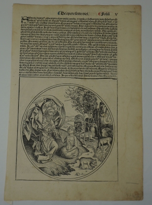 Los 1026 - Schedel, Hartmann - Umfangreiches Fragment mit der Schöpfungsgeschichte aus dem  "Liber chronicarum" - 21 - thumb