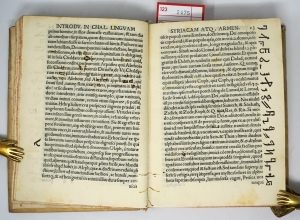Los 2475 - Ambrogio degli Albonesi, Teseo - Introductio in Chaldaicam linguam, Syriacam, atque Armenicam - 4 - thumb
