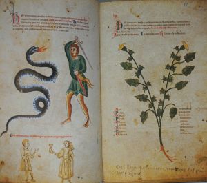 Lot 2790, Auction  123, Medicina antiqua libri quattuor medicinae, Codex Vindobonensis 93 
