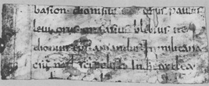 Los 2801 - Martyrologium hieronymianum - Fragment eines Blattes einer lateinischen Handschrift auf Pergament.  - 1 - thumb