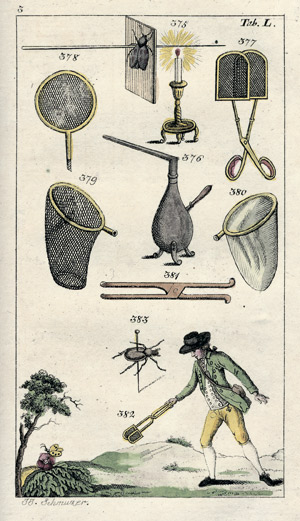 Lot 795, Auction  101, Wilhelm, Gottlieb Tobias, Naturgeschichte, Insecten III