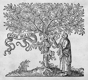Lot 1389, Auction  101, Heinsius Daniel, Sacrarum exercitationum ad Novum Testamentum libri XX 