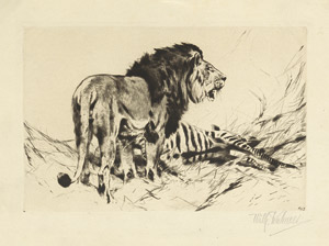 Lot 5676, Auction  101, Kuhnert, Wilhelm, Löwenpaar mit erlegtem Zebra
