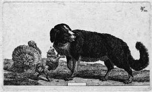 Lot 5816, Auction  101, Vittinghoff, Carl Baron von, Ca. 24 Blatt mit Tieren