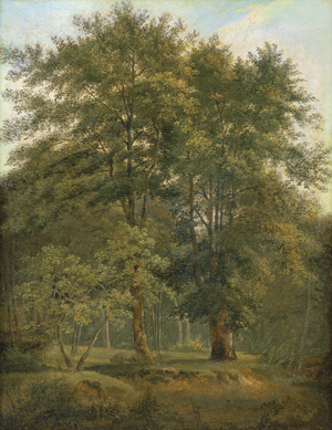 Lot 6150, Auction  101, Dänisch, um 1850. Studie einer sommerlichen Waldpartie mit Buchen