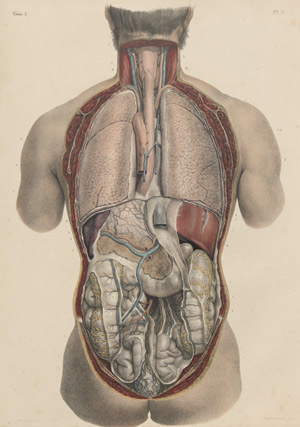 Lot 403, Auction  102, Bourgery, Jean Marc, Traité complet de l'anatomie de l'homme