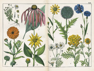Lot 538, Auction  102, Schubert, G. H. von, Naturgeschichte des Pflanzenreichs 