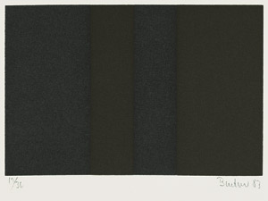 Lot 3030, Auction  102, Riese, Hans-Peter und Badur, Frank - Illustr., Autonomie der Farbe (m. Serigrafien von Frank Badur)