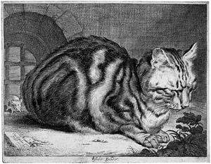 Lot 5822, Auction  102, Visscher, Cornelis, Die große Katze
