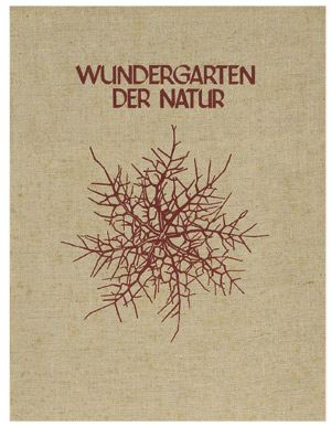 Lot 3939, Auction  103, Blossfeldt, Karl, Wundergarten der Natur,