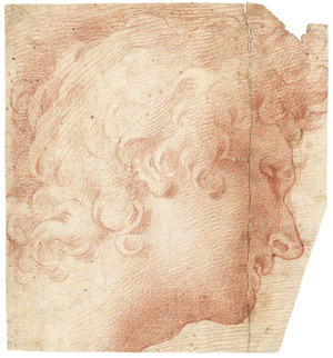 Lot 6219, Auction  103, Florentinisch, um 1600. Kopf eines Jünglings mit lockigem Haar