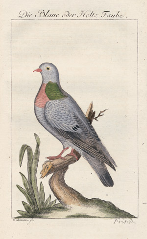 Lot 479, Auction  104, Buffon, G. L. L., Naturgeschichte der Vögel. 6. Bd. 