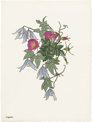 Lot 516, Auction  104, Weisz, Josef, Blumen der Alpen. Eine Auswahl