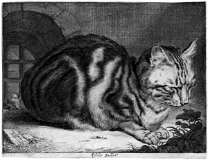 Lot 5849, Auction  104, Visscher, Cornelis, Die große Katze