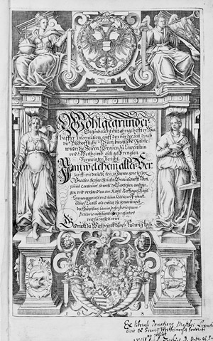 Lot 278, Auction  105, Reinhard, Johann P., Wohlgegründer Gegenbericht mit ahngeheffter warhaffter Information