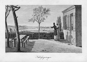 Lot 293, Auction  105, Widenmann, J. J. und Geissler, Friedrich - Illustr., Die Umgebungen von Nürnberg