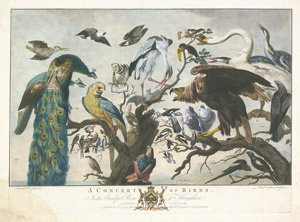 Lot 5312, Auction  105, Earlom, Richard, A concert of birds