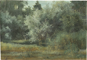Lot 6122, Auction  105, Deutsch, 19. Jh. Landschaftsstudie mit Gräsern und Bäumen
