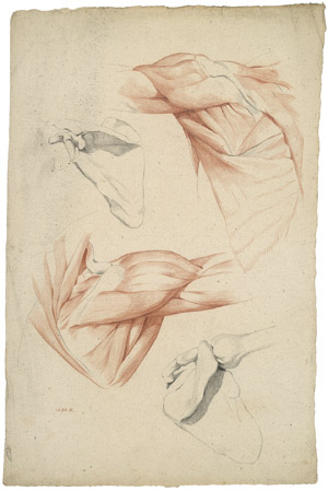 Lot 6367, Auction  105, Beck, Johann Heinrich, Anatomische Studien; Männlicher Akt; Hellenistische Büste