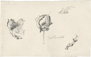 Lot 6465, Auction  105, Olivier, Friedrich, Studienblatt mit vier welken Blättern