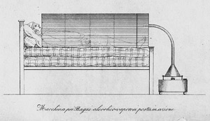 Lot 305, Auction  106, Cavalsassi, Timoteo, Descrizione della macchina pei bagni 1839