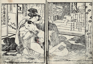 Lot 460, Auction  106, Japanisches Eroticum, Blockbuch mit 15 teilkolorierten Holzschnitten