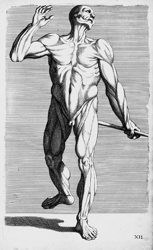 Lot 1145, Auction  106, Cesio, Carlo und Preissler, Johann Daniel, L'anatomia dei pittori. 1666-71