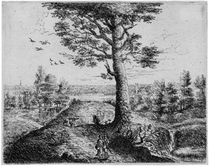 Lot 5151, Auction  106, Immenraet, Philips Augustyn, Landschaft mit einem großen Baum