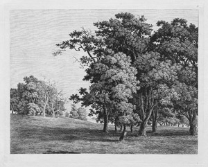 Lot 5573, Auction  106, Petersen, Søren Henrik, Hügelige Landschaft mit Bäumen