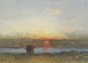 Lot 6721, Auction  106, Hildebrandt, Eduard, "Siam" - Elefant an einer Tränke im Sonnenuntergang