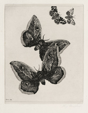 Lot 7389, Auction  106, Müller, Richard, Vier Schmetterlinge