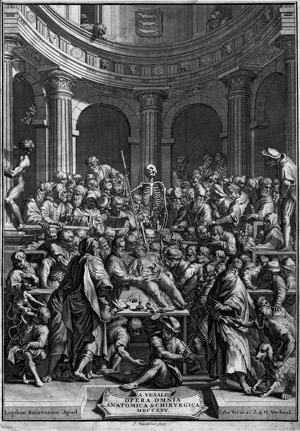 Lot 316, Auction  107, Vesalius, Andreas, Opera omnia anatomica et chirurgica
