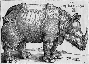 Lot 5100, Auction  107, Dürer, Albrecht, Das Rhinozeros