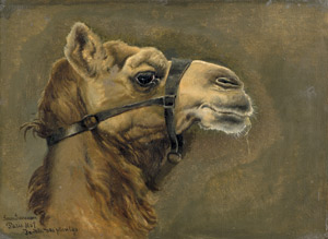 Lot 6161, Auction  107, Simonsen, Simon Ludvig Ditlev, Kopf eines Kamels im Profil