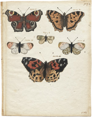 Lot 6601, Auction  107, Deutsch, um 1787. Schmetterlinge und Motten