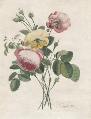 Lot 6746, Auction  107, Prevost d. J., Jean-Louis, Blumenbouquet mit rosa und gelben Teerosen