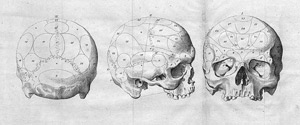 Lot 330, Auction  108, Gall, Franz Joseph, Lehre über die Verrichtungen des Gehirns