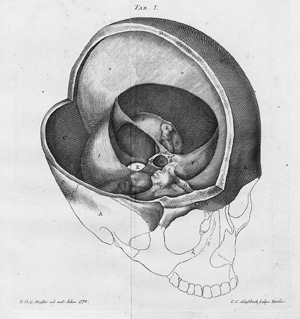 Lot 354, Auction  108, Mayer, Johann Christoph Andreas, Anatomisch-physiologische Abhandlung vom Gehirn