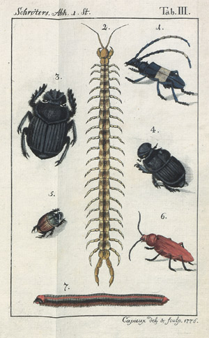 Lot 434, Auction  108, Schröter, Johann Samuel, Abhandlungen über verschiedene Gegenstände der Naturgeschichte