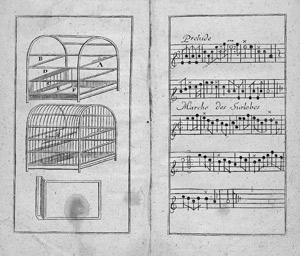 Lot 384, Auction  110, Hervieux (de Chanteloup, J. C., Neuer Tractat von denen Canarien-Vögeln