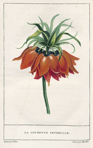 Lot 397, Auction  110, Miger, P. A. M., La Corbeille de Fleurs