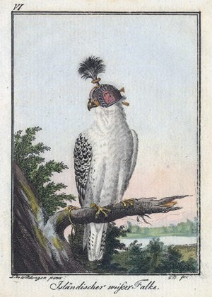 Lot 421, Auction  110, Neujahrsgeschenk für Forst und Jagdliebhaber, auf das Jahr 1799