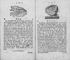 Lot 1780, Auction  110, ABC-Buch mit kurzen Lese-Uebungen, für die Stadt- und Dorf-Schulen von Frankfurt am Mayn