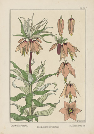 Lot 3164, Auction  110, Grasset, Eugène, La plante et ses application