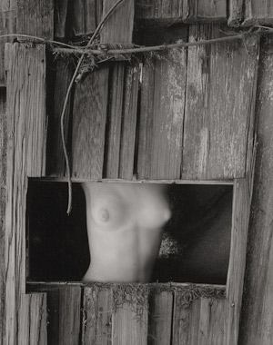 Lot 4125, Auction  110, Bullock, Wynn, Nude torso in window