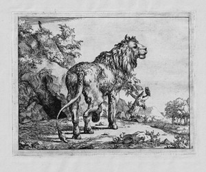 Lot 5051, Auction  110, Bye, Marcus de, Die Folge der Löwen