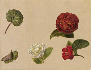 Lot 6106, Auction  110, Österreichisch, um 1830. Rote und weiße Kamelienblüten auf chamoisfarbenem Grund.