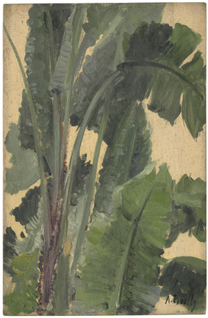 Lot 6172, Auction  110, Bailly, Alexandre, Studie einer Bananenpflanze
