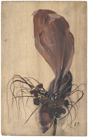 Lot 6174, Auction  110, Bailly, Alexandre, Studie einer Orchidee