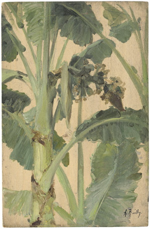 Lot 6175, Auction  110, Bailly, Alexandre, Studie einer Bananenpflanze